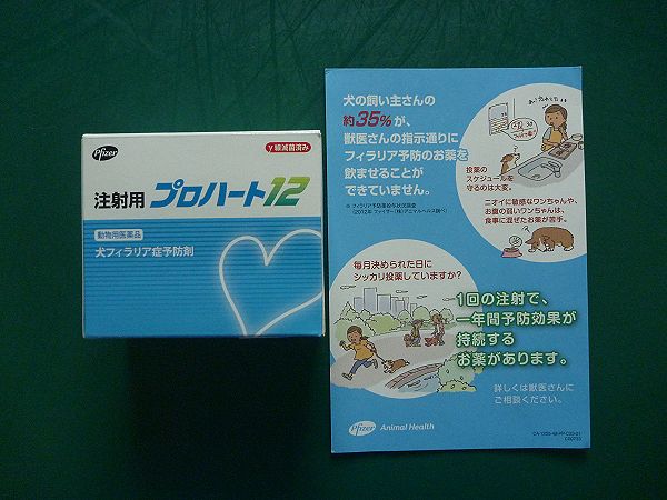 08 27 犬フィラリアの予防注射 1年利きます 兵庫県加古川市 グリーンピース動物病院
