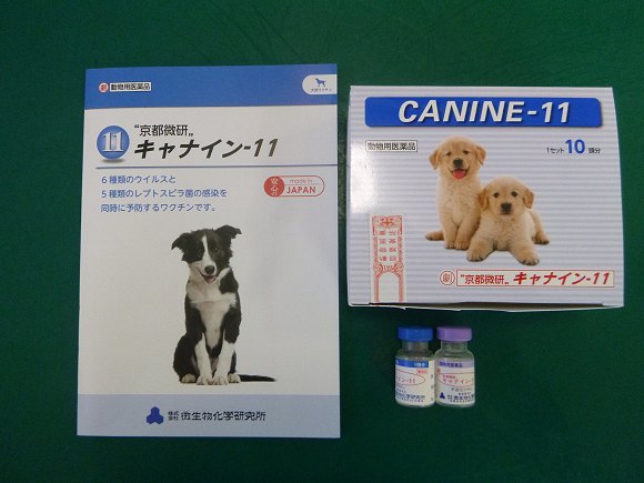 犬用11種混合ワクチンが出ました 兵庫県加古川市 グリーンピース動物病院