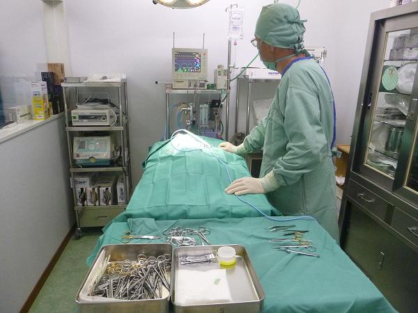 犬の唾液腺嚢胞の手術 兵庫県加古川市 グリーンピース動物病院