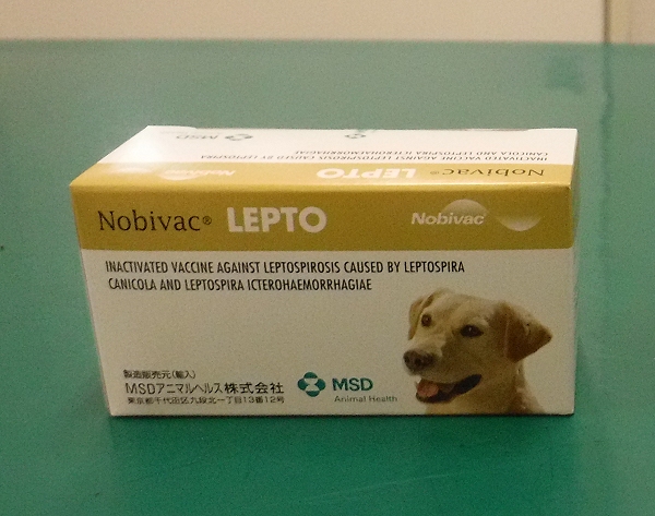 leptvaccin